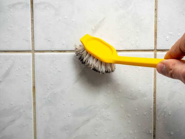Best Mold Removal Near Me  in Piqua, OH