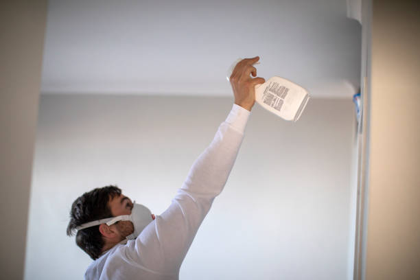 Best Mold Testing and Removal  in Piqua, OH