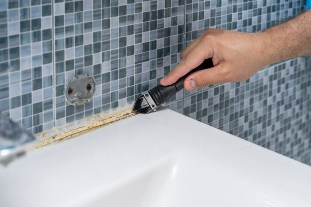 Piqua, OH Mold Removal Company