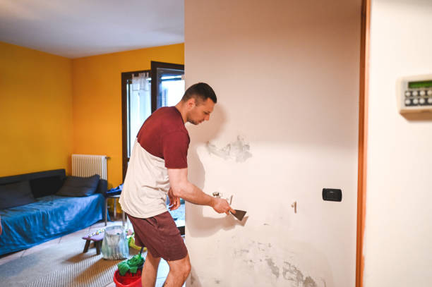 Best Toxic Mold Removal  in Piqua, OH
